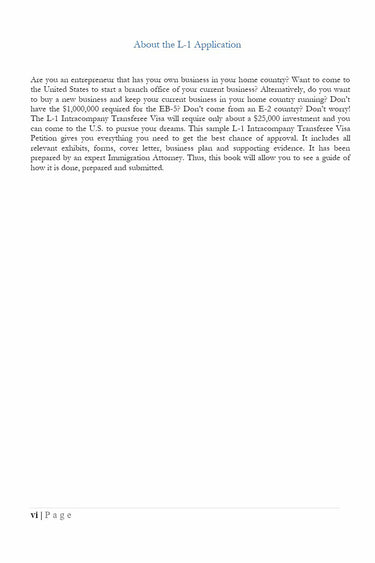 Rocket Immigration Petitions Immigration Visa Attorney Drafted l-1 Intracompany Transferee Visa Application